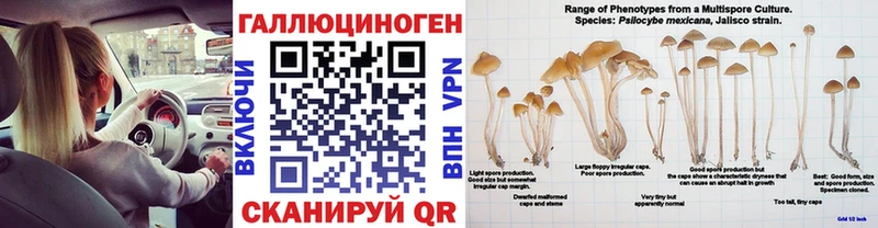 Купить где  Бугуруслан  Галлюциногенные грибы мицелий 
